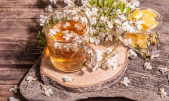 Fiori di acacia: utilizzi tradizionali e preparazione della tisana