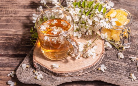 Fiori di acacia: utilizzi tradizionali e preparazione della tisana