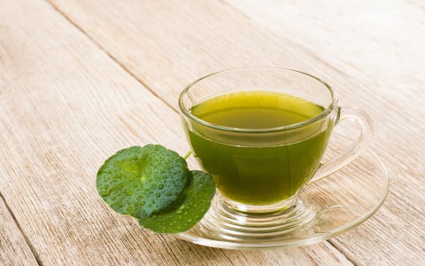 Centella pianta proprietà e usi