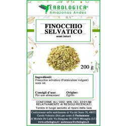 Finocchio semi selvatici