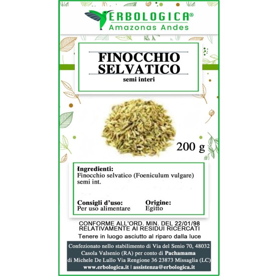 Finocchio semi selvatici