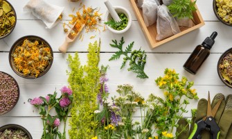Il segreto della guarigione naturale: Come queste piante medicinali possono migliorare la vostra salute