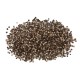Primo piano di agnocasto con frutti interi essiccati utilizzati per tisane e infusi naturali.