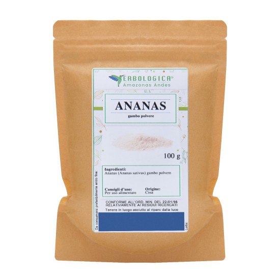 Busta kraft da 100 g di Ananas gambo in polvere Erbologica Amazonas Andes con etichetta frontale illustrata.