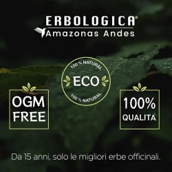 Reishi estratto in capsule