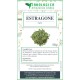 Estragone dragoncello spezia Estragone dragoncello spezia