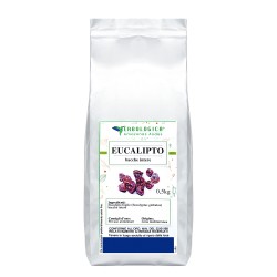 Eucalipto bacche tisana 
