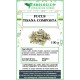 Fucus tisana composta 