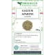 Galium aparine sommità taglio tisana Galium aparine sommità taglio tisana pianta officinale sfusa per infusi in confezioni da 100, 500 e 1000 grammi