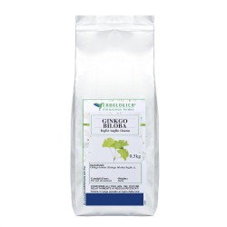 Ginkgo Biloba tisana