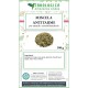 Miscela Antitarme Naturale per Armadi e Cassetti 100 g Erbologica Antitarme Naturale Erbologica 100 g con Lavanda Canfora e Spezie per Armadi e Biancheria