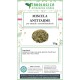 Miscela Antitarme Naturale per Armadi e Cassetti 100 g Erbologica Antitarme Naturale Erbologica 100 g con Lavanda Canfora e Spezie per Armadi e Biancheria