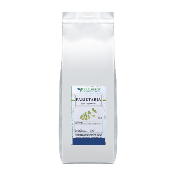Parietaria foglie taglio tisana Parietaria foglie taglio tisana