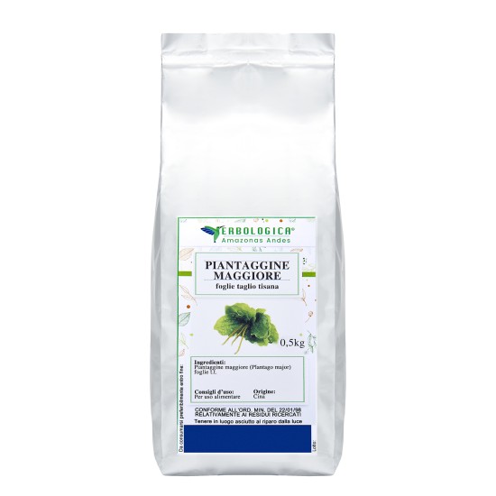 Piantaggine Maggiore foglie taglio tisana Piantaggine Maggiore foglie taglio tisana