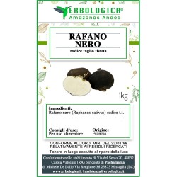 Rafano nero radice