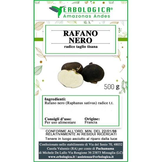 Rafano nero radice Rafano nero radice