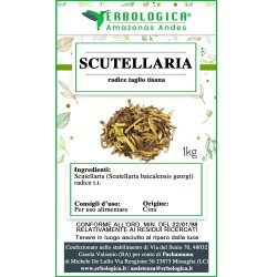 Scutellaria radice taglio tisana Scutellaria radice taglio tisana