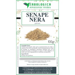 Senape nera polvere spezia 