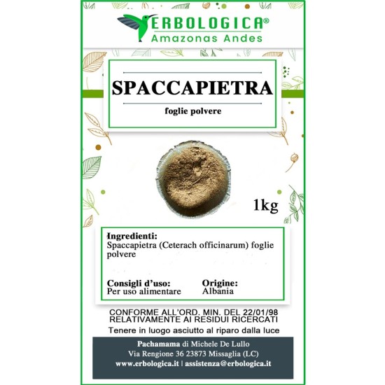 Spaccapietra pianta in polvere Spaccapietra pianta in polvere