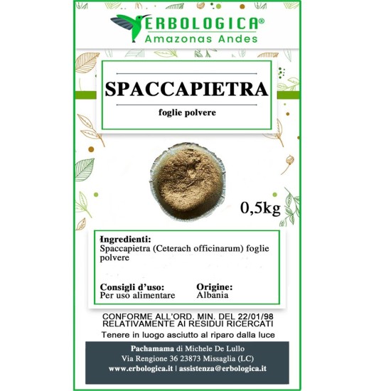 Spaccapietra pianta in polvere Spaccapietra pianta in polvere