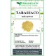Tarassaco radice in polvere Tarassaco radice in polvere