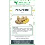 Zenzero rizoma decorticato per tisana: utilizzo tradizionale