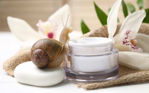 Crema viso bava di lumaca