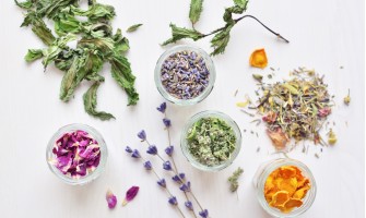 Erbe medicinali che curano la pelle