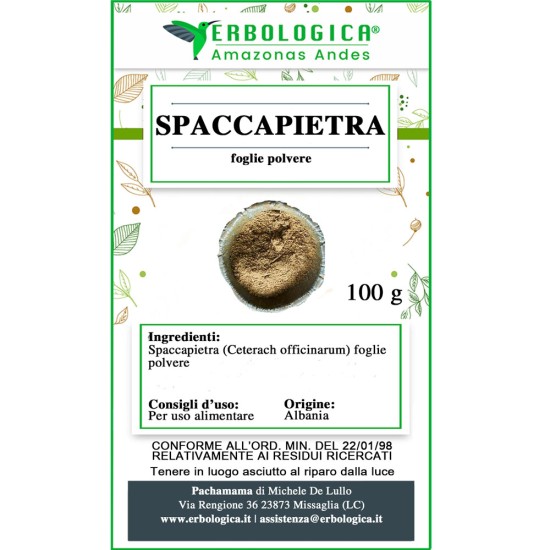 Spaccapietra pianta in polvere Spaccapietra pianta in polvere