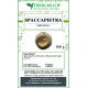 Spaccapietra pianta in polvere Spaccapietra pianta in polvere