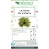 Lichene islandico tisana 
