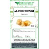 Alchechengi frutti interi
