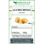 Alchechengi frutti interi