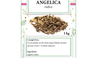 Distributori erbe aromatiche e officinali