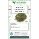 Miscela di erbe aromatiche per pesce – Uso culinario Miscela di erbe aromatiche per pesce – Uso culinario