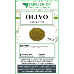 Olivo foglie in polvere