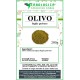 Olivo foglie in polvere Olivo foglie in polvere