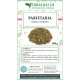 Parietaria tisana composta Parietaria tisana composta