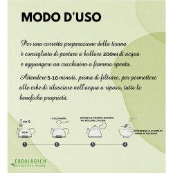 Betonica sommità tisana Betonica sommità tisana