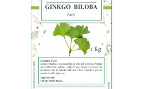 Piante officinali che migliorano la memoria
